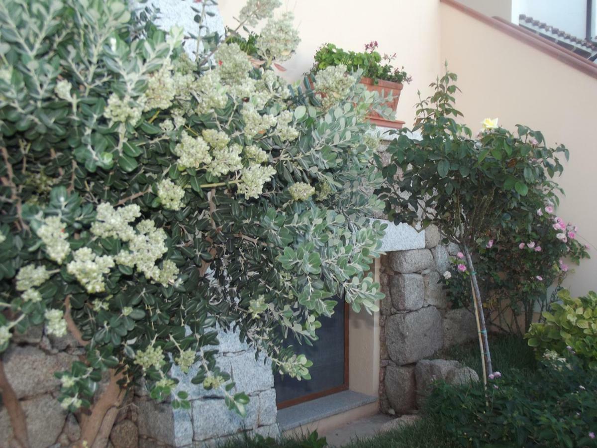 Casa Elena Daire Cala Gonone Dış mekan fotoğraf