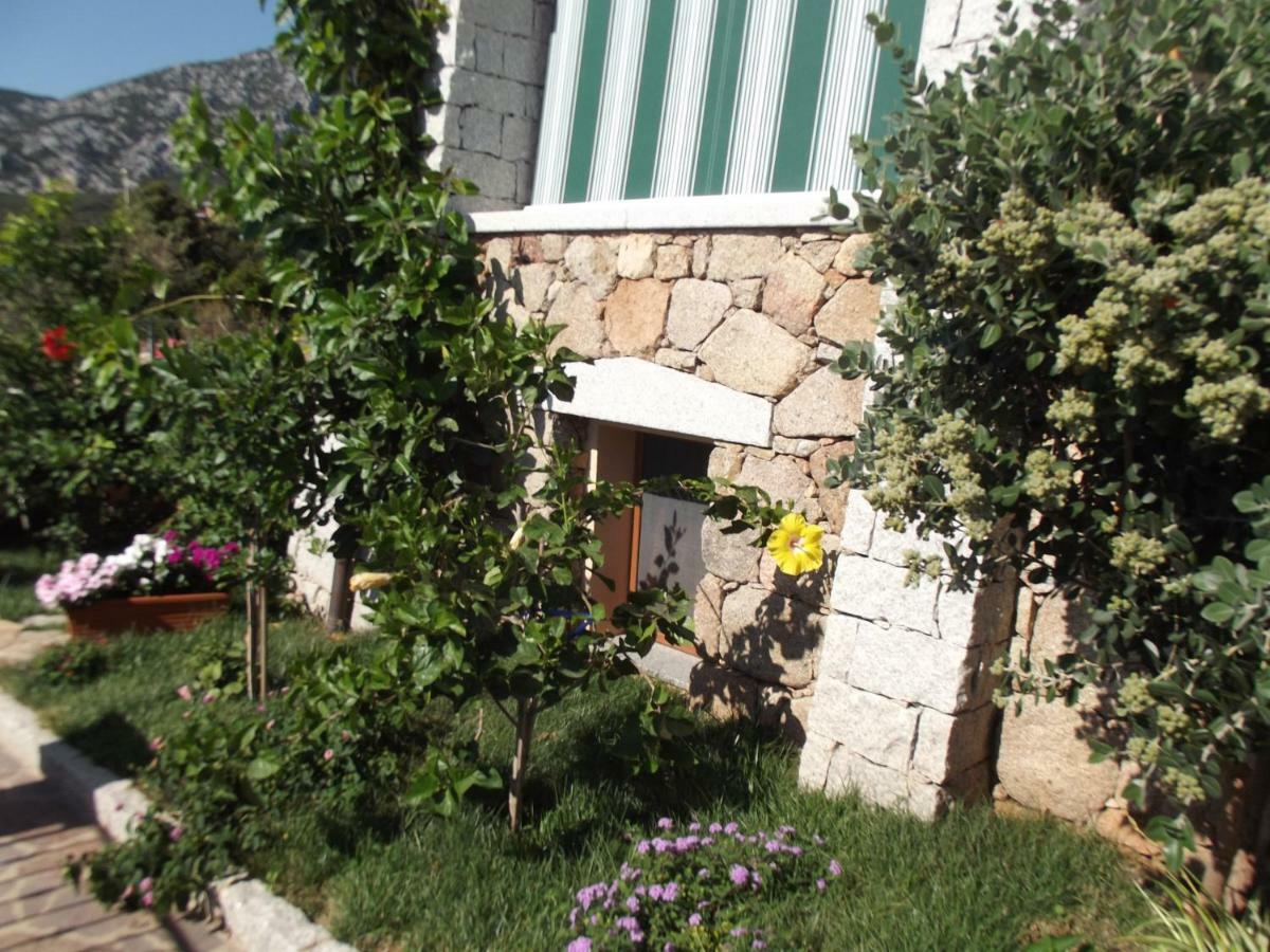 Casa Elena Daire Cala Gonone Dış mekan fotoğraf